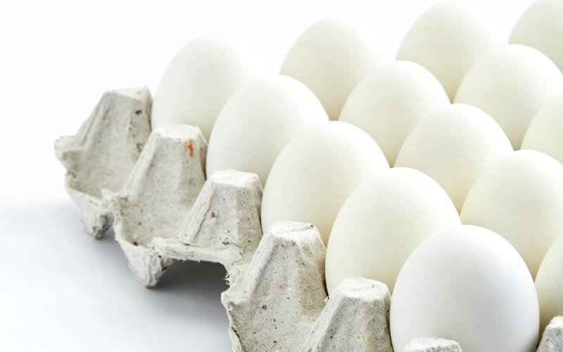 Egg / Itlog